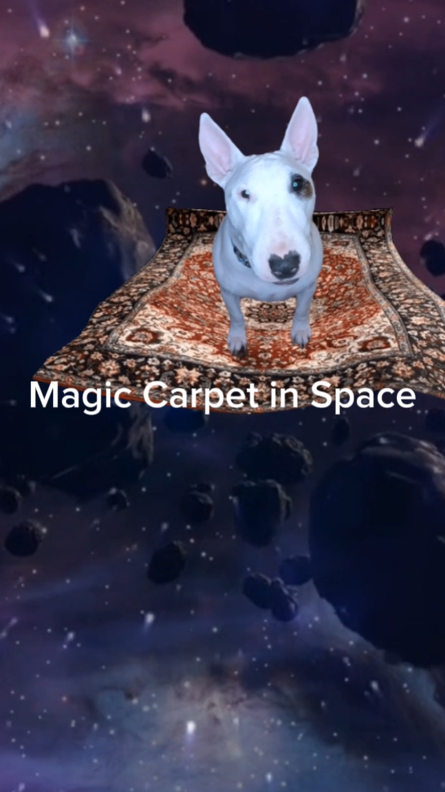 Espacio De Alfombra Mágica