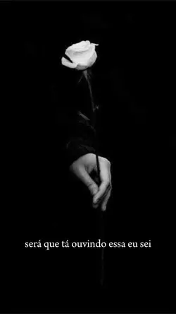 o céu está em festa