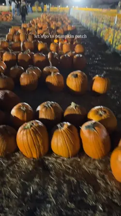Pumpkin Patc