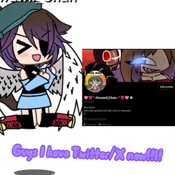 I have Twitter/X!1!!