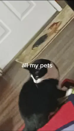 all my pets<3
