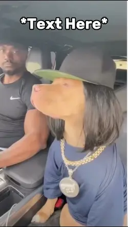 Dog meme