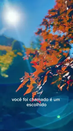 Vc foi chamado
