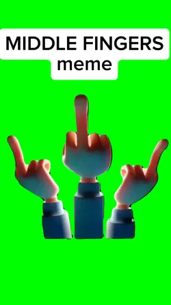 MIDDLE FINGER meme