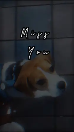 Miss you