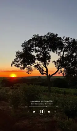 Zezé de Camargo e Lu
