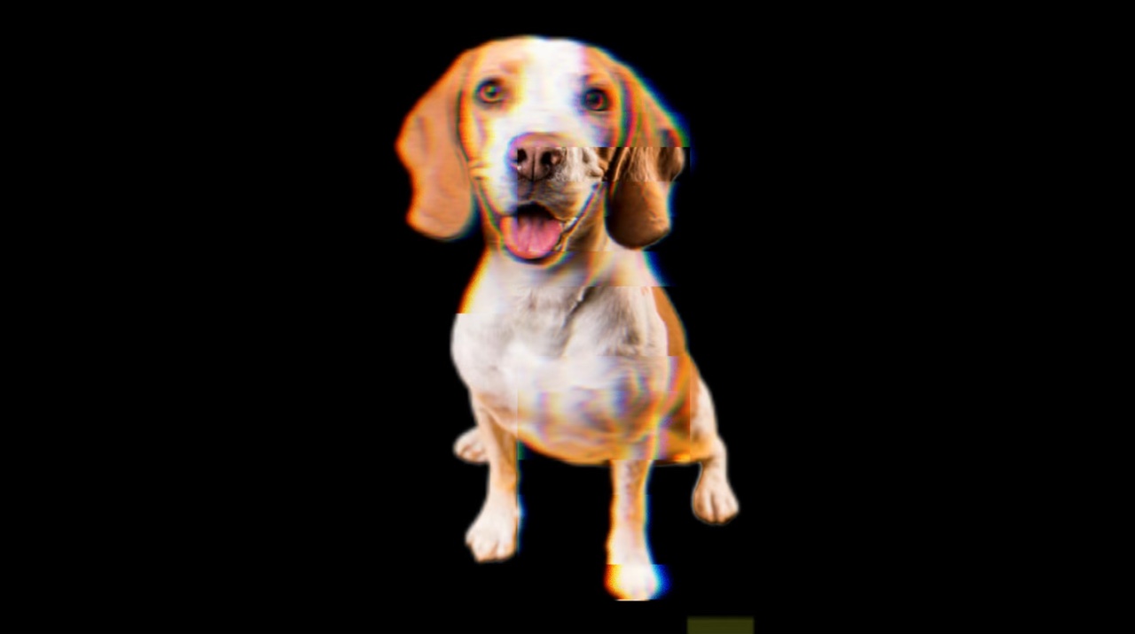 Can you get the dog?