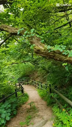 natureza linda