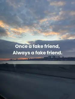 fake friends