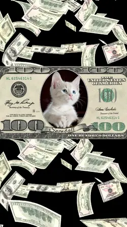 Money money