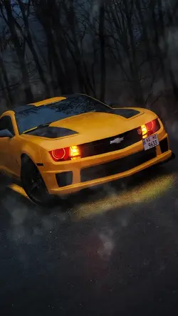 Bumblebee Camaro/car