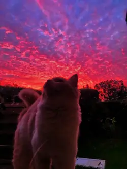 try on sunset pic