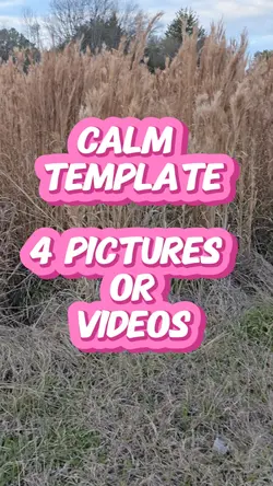 Calm Template