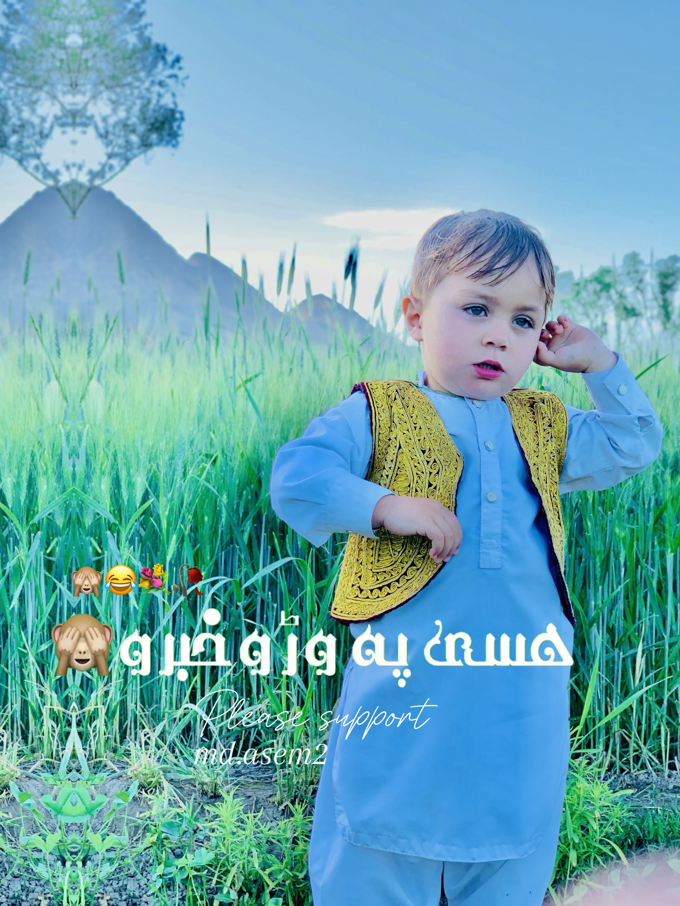 Cover Picture