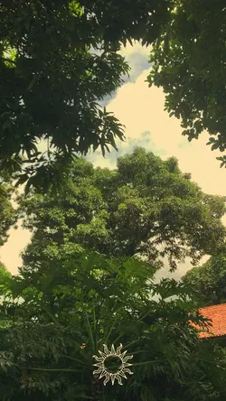 Naquela mesa