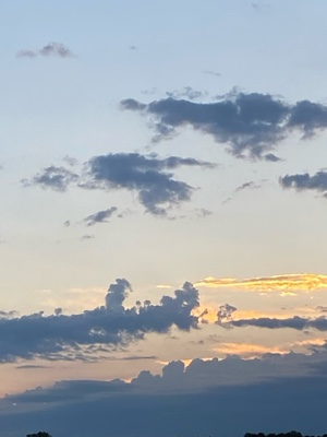 Sunset 🌅 