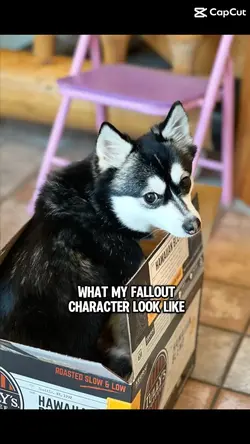 Fallout character