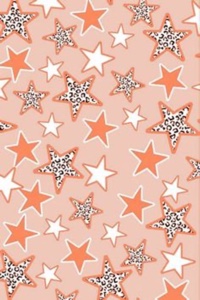 STANLEY CREW PT. 3 🌺