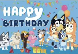 Bluey bday 
