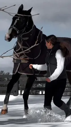 ⚠️FAKE⚠️ | ‼️NOT REAL‼️