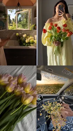Spring vlog