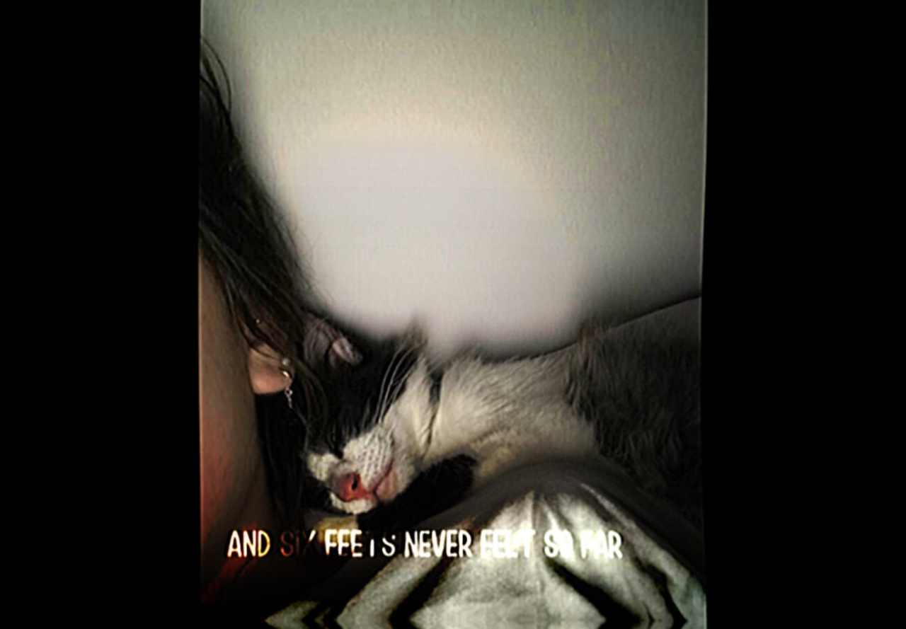 R.I.P my love<3