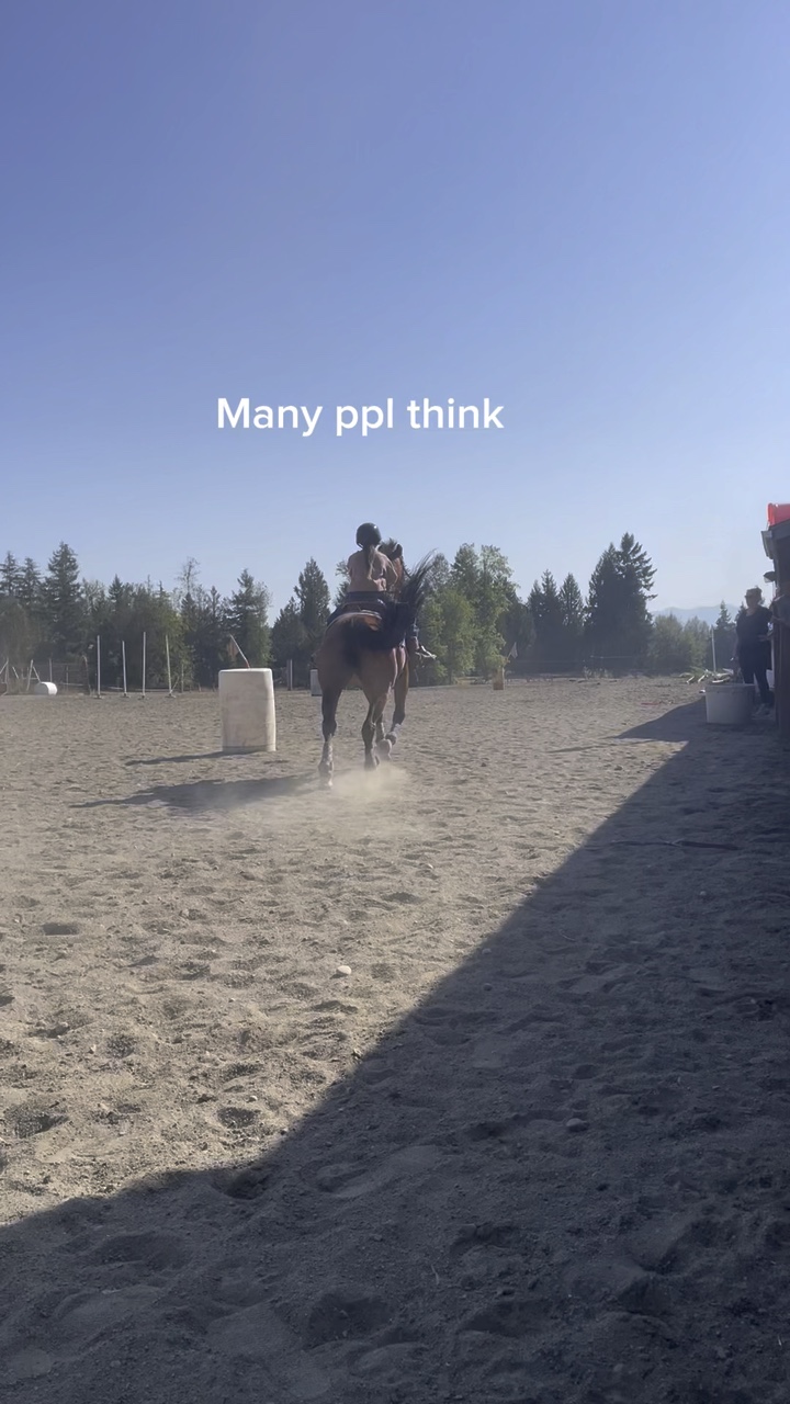Reiten