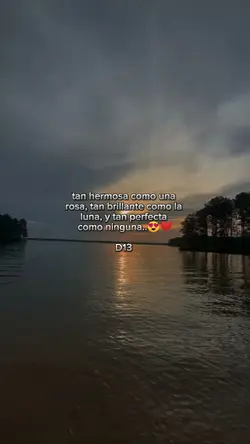 Frases de amor