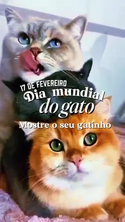 Dia do GATO 