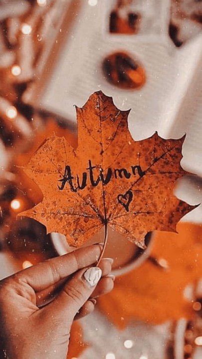 Autumn Days 🍁