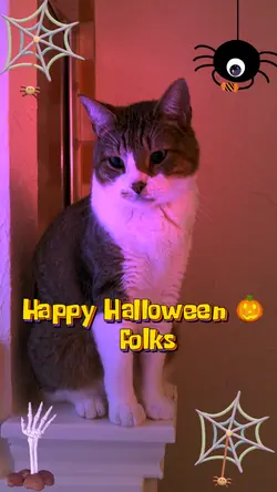 Happy Halloween 🎃 