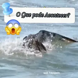ASSISTA ATE O FIM!