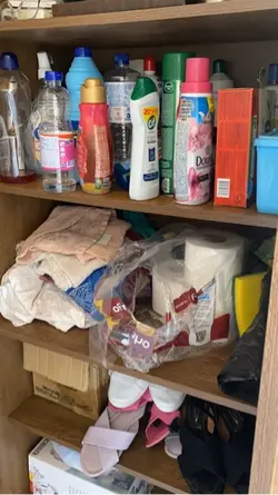 Organização 