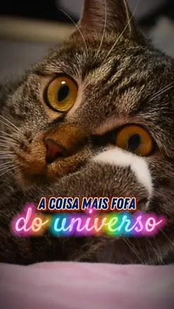 A mãe que disse 😻