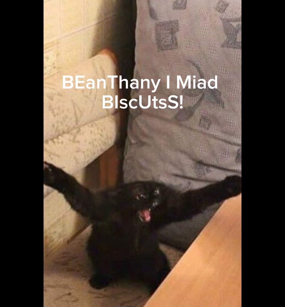 EU FIZ BISCOITOS 