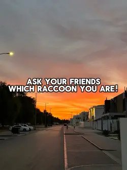 which one are you ?