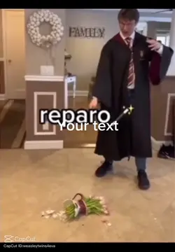 REPARO🪄