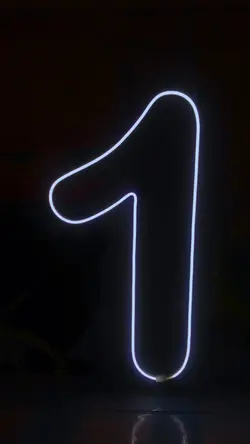 1 aninho 