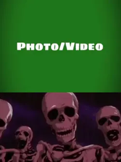 Skeletons roasting