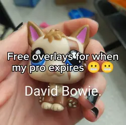 FREE OVERLAYS