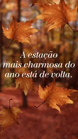 Coleção Outono Foto 