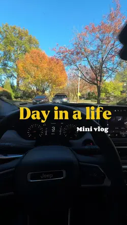 Mini vlog