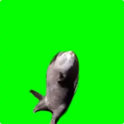 I’ve been nasty girl