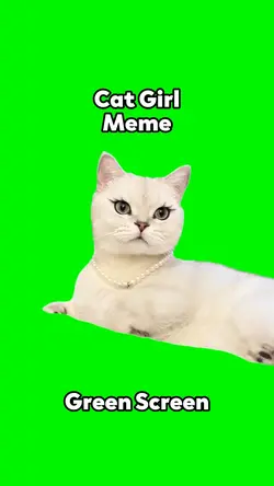Cat Girl Meme 