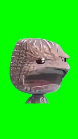 Wonder face turnin