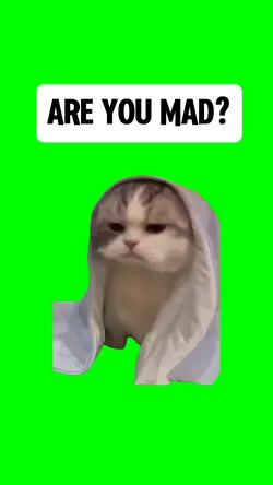 ARE YOU MAD?