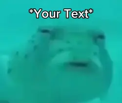 Fish 👁️👄👁️