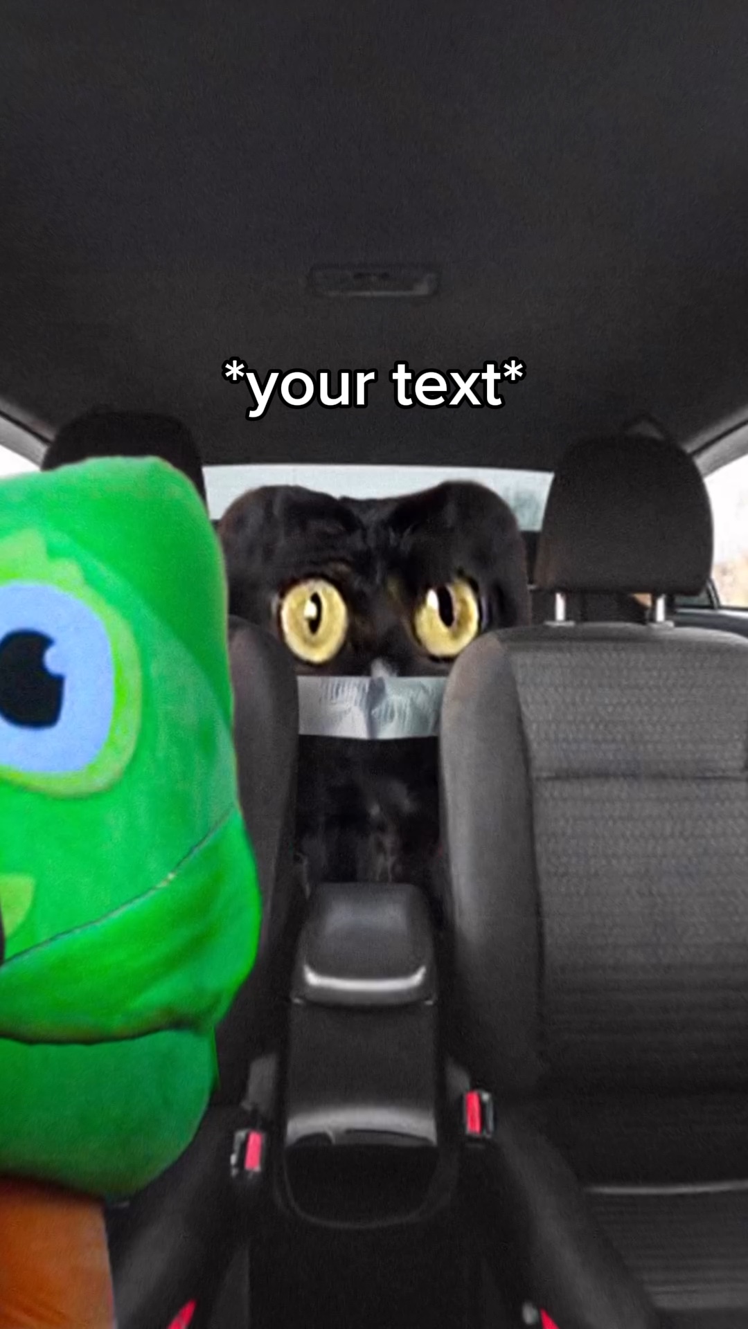 Meme kucing duolingo
