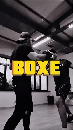 BOXE +TRANSIĂĂES
