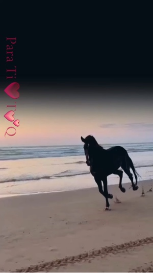 LosHuracanesDelNorte